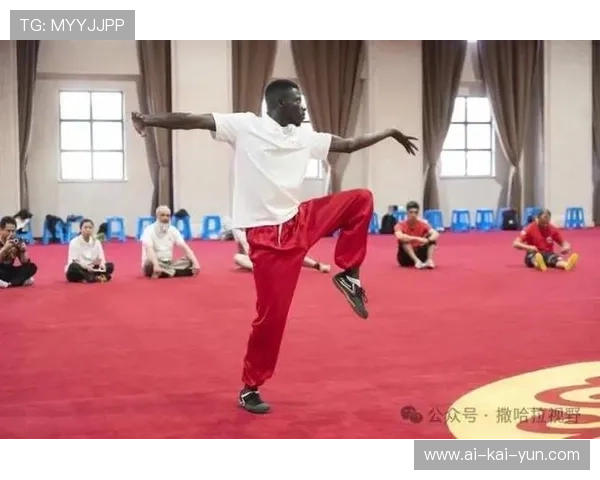 达喀尔青奥会筹备进入冲刺阶段，塞内加尔积极准备